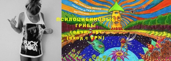 mdpv Баксан