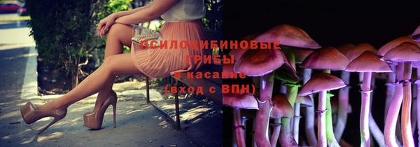 mdpv Баксан